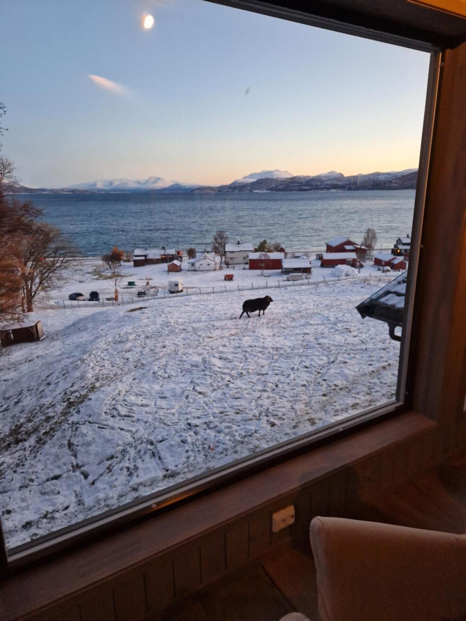 Yggdrasil Farmhotel Retreat, Spa & Yoga Straumsbukta 외부 사진