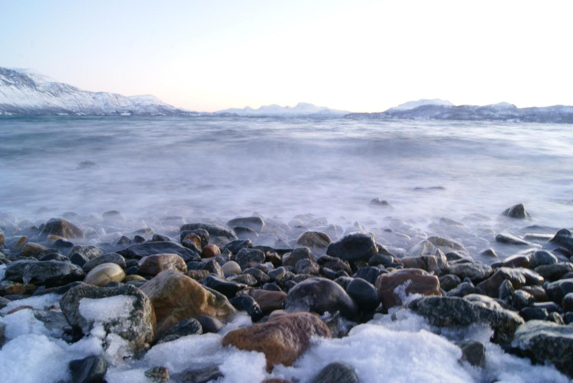 Yggdrasil Farmhotel Retreat, Spa & Yoga Straumsbukta 외부 사진