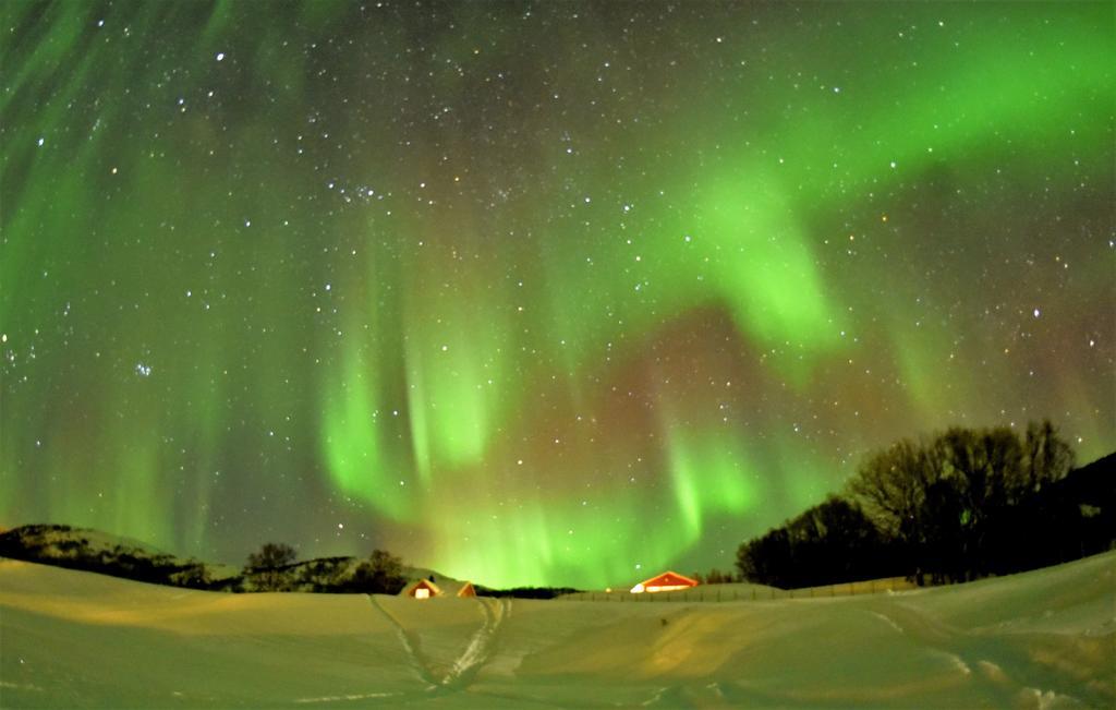 Yggdrasil Farmhotel Retreat, Spa & Yoga Straumsbukta 외부 사진